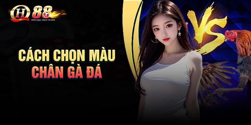 cach-chon-mau-chan-ga-da-chuan-chien-ke-thuc-thu cach-chon-mau-chan-ga-da-chuan-chien-ke-thuc-thu